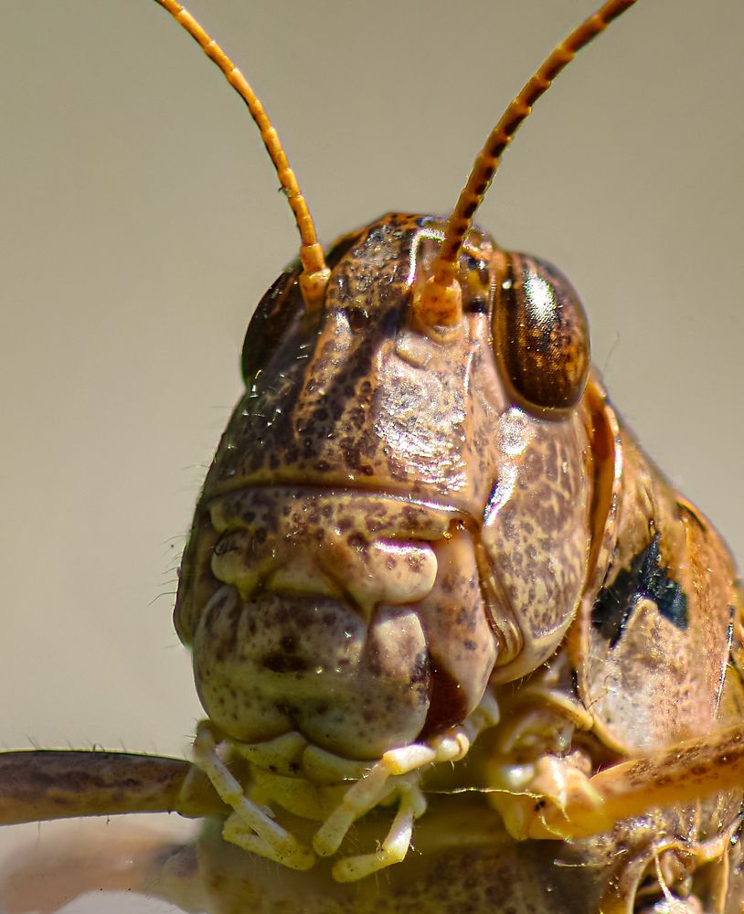 Photograph by Урасов Олег