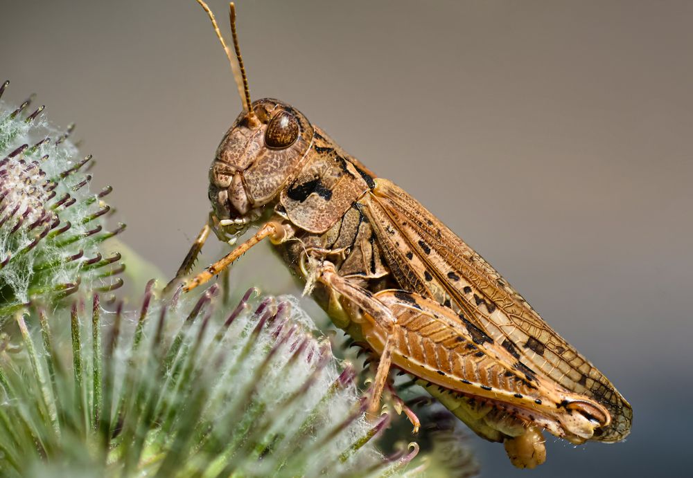 Photograph by Урасов Олег