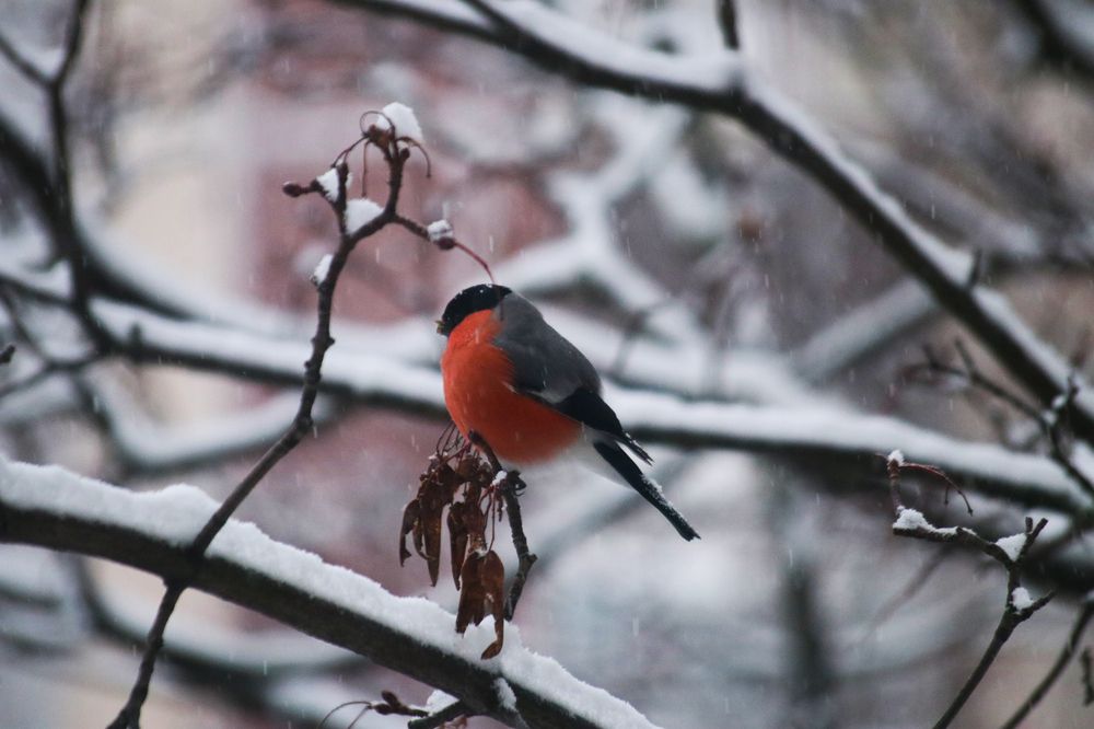 Photograph by Светлана Попкова