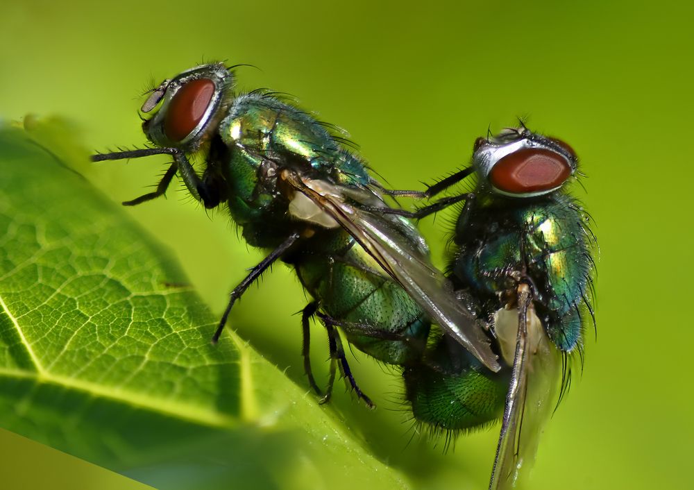 Photograph by Урасов Олег