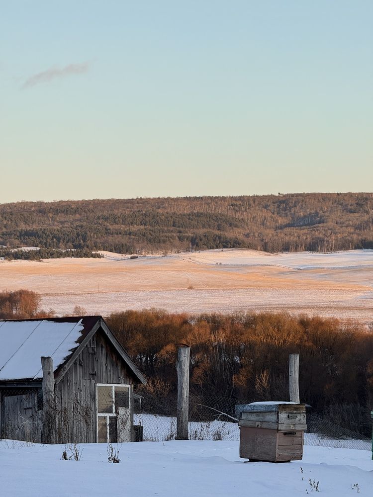Photograph by Александра Драчук