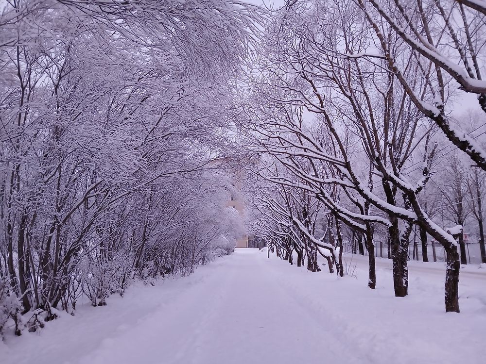 Photograph by Елена Терскова