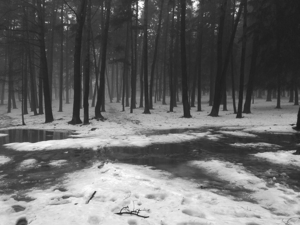 Фотография автора Борис Журавлёв