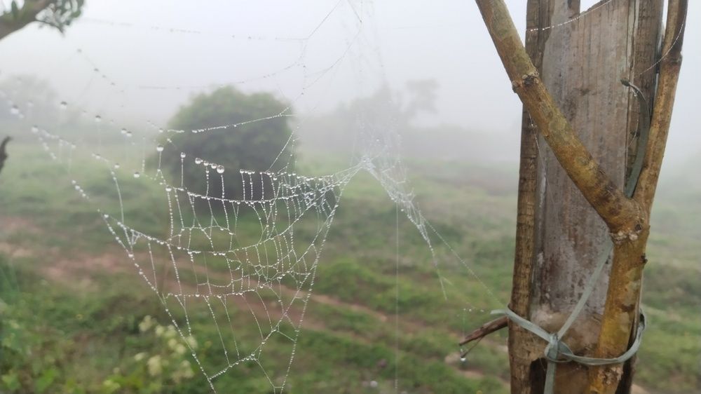 Photograph by Varsha Gatti