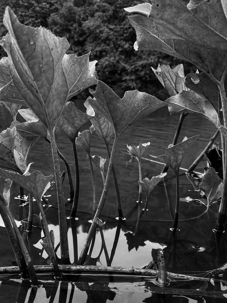 Photograph by Анна