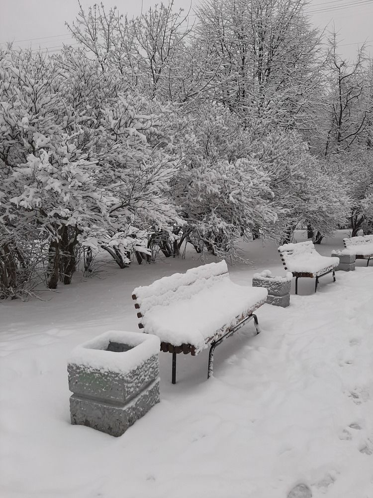 Фотография автора Светлана Дунаева