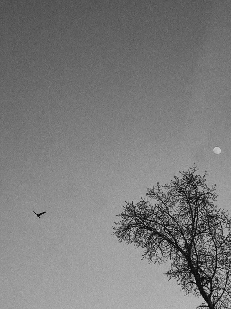 Photograph by Анна