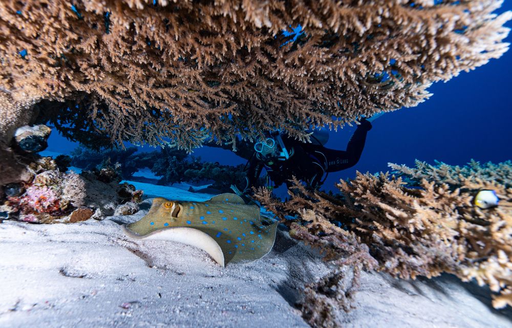 Photograph by Santiago Estrada R