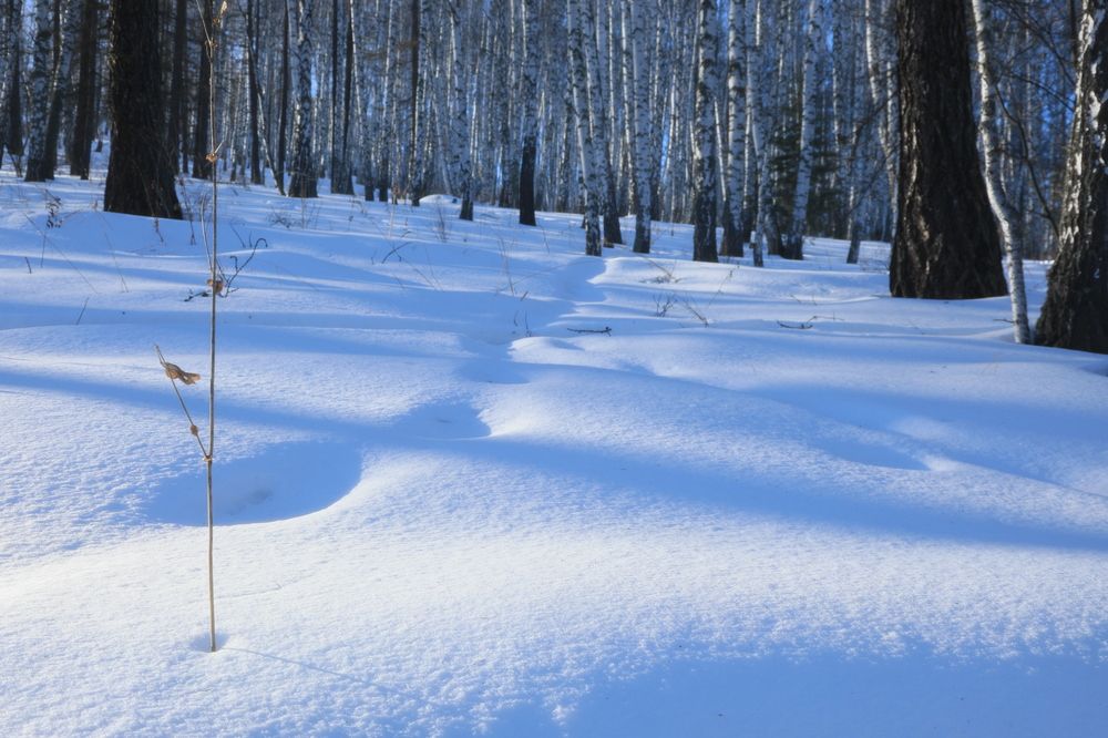 Photograph by Станислав Кудрицких