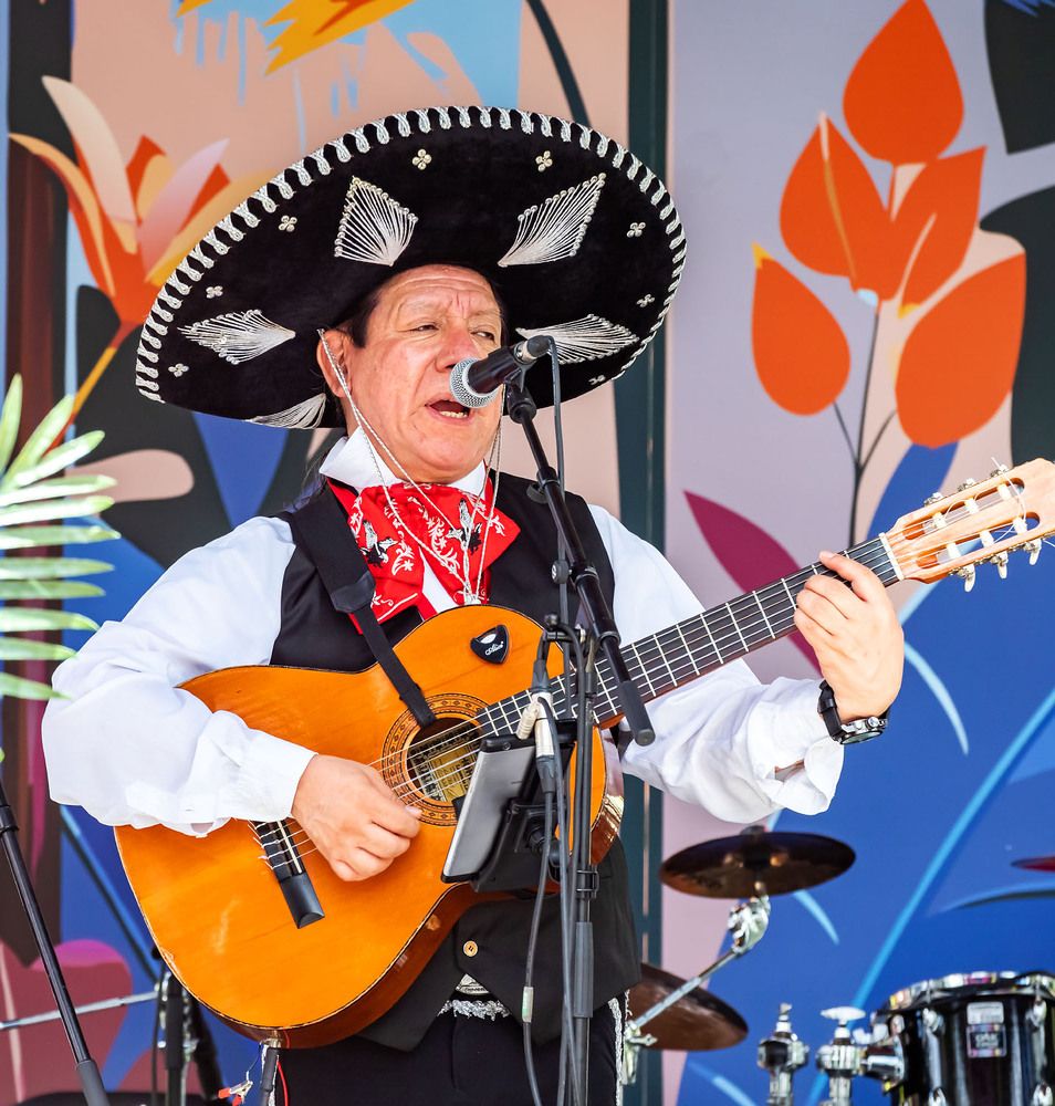 На концерте