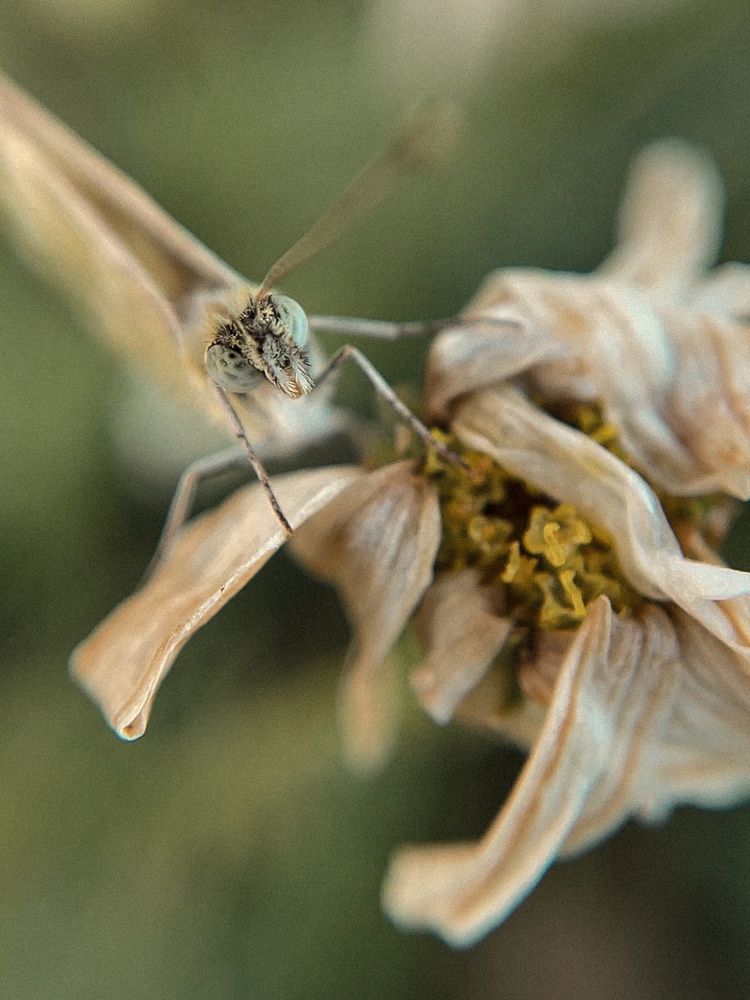 Photograph by Анна