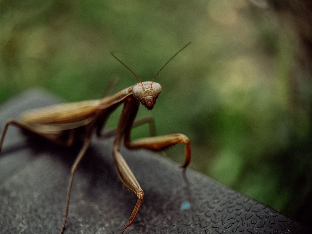 Photograph by Анна