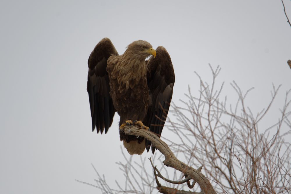 Photograph by Антон Громов