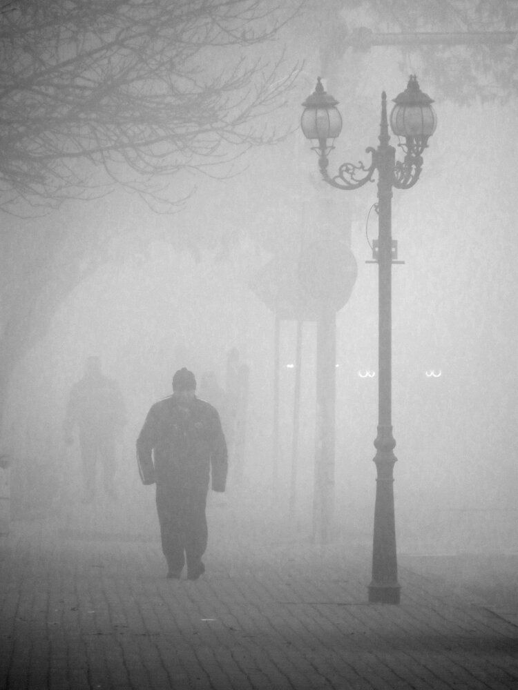 Photograph by Mila Nikolova