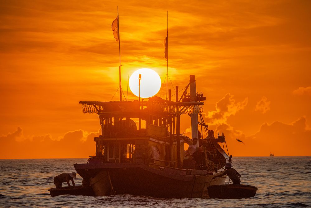 Photograph by Linh Hà Vũ