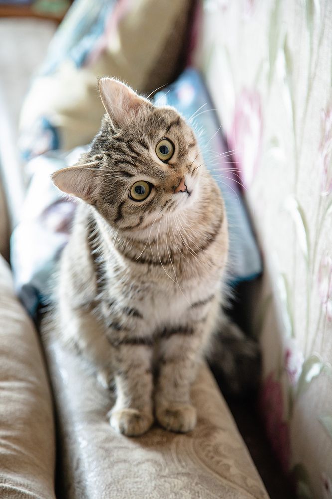 Photograph by Юлия Ташлыцкая