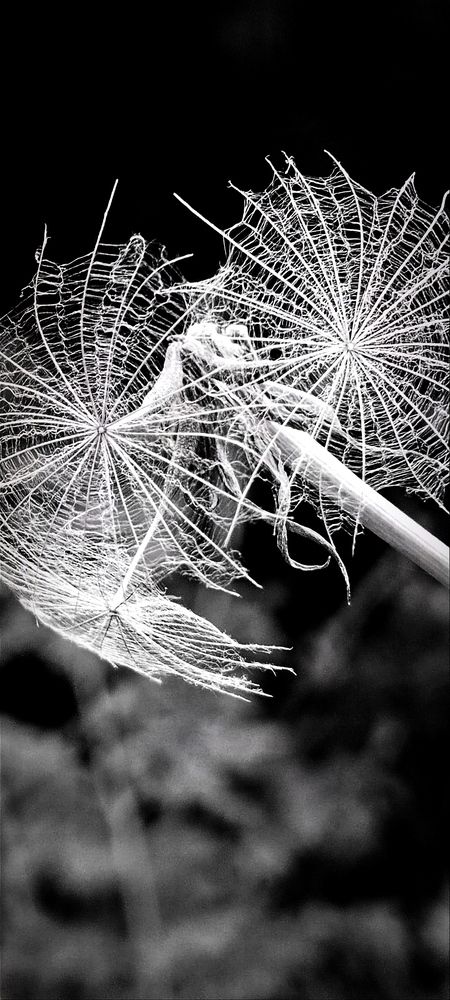 Photograph by Nаtaliia Zolotova