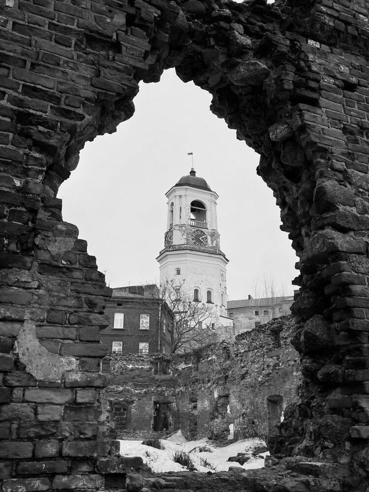 Photograph by Александра Драчук