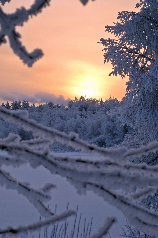 Photograph by Svetlana Hirvonen