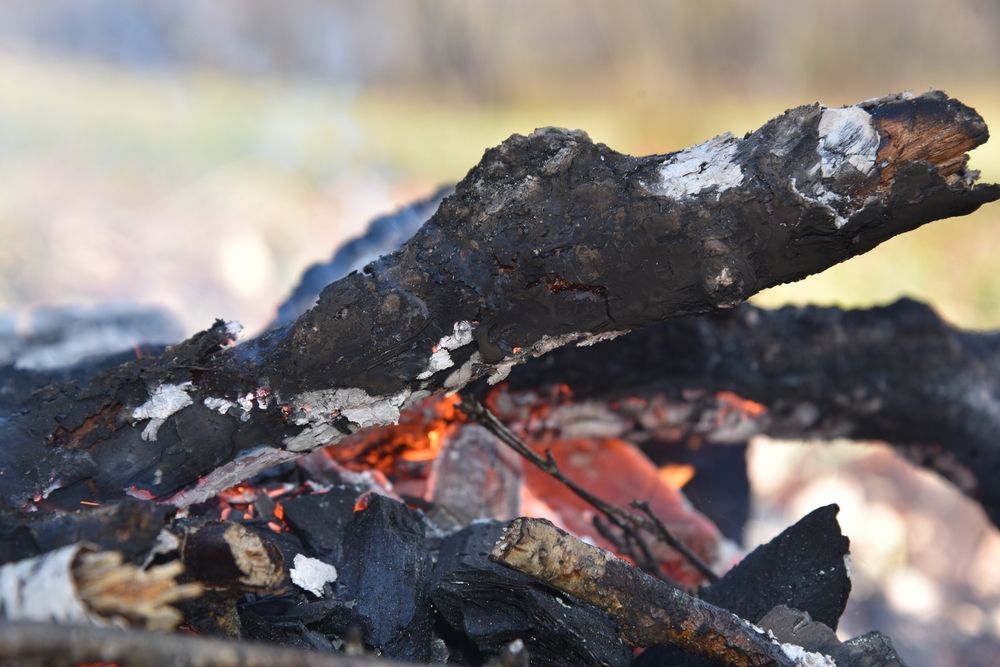 Photograph by Людмила Воропаева