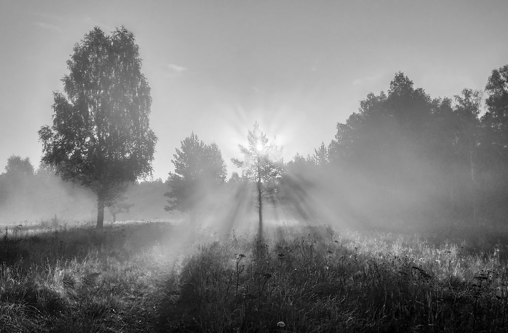 Фотография автора Кухта Мария