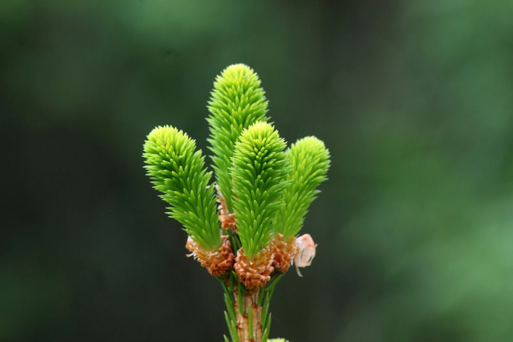 Photograph by Елена Наленч