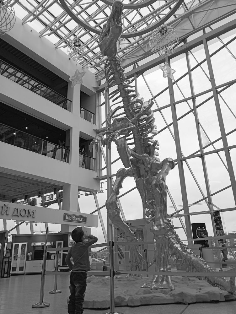 Photograph by Светлана Попкова