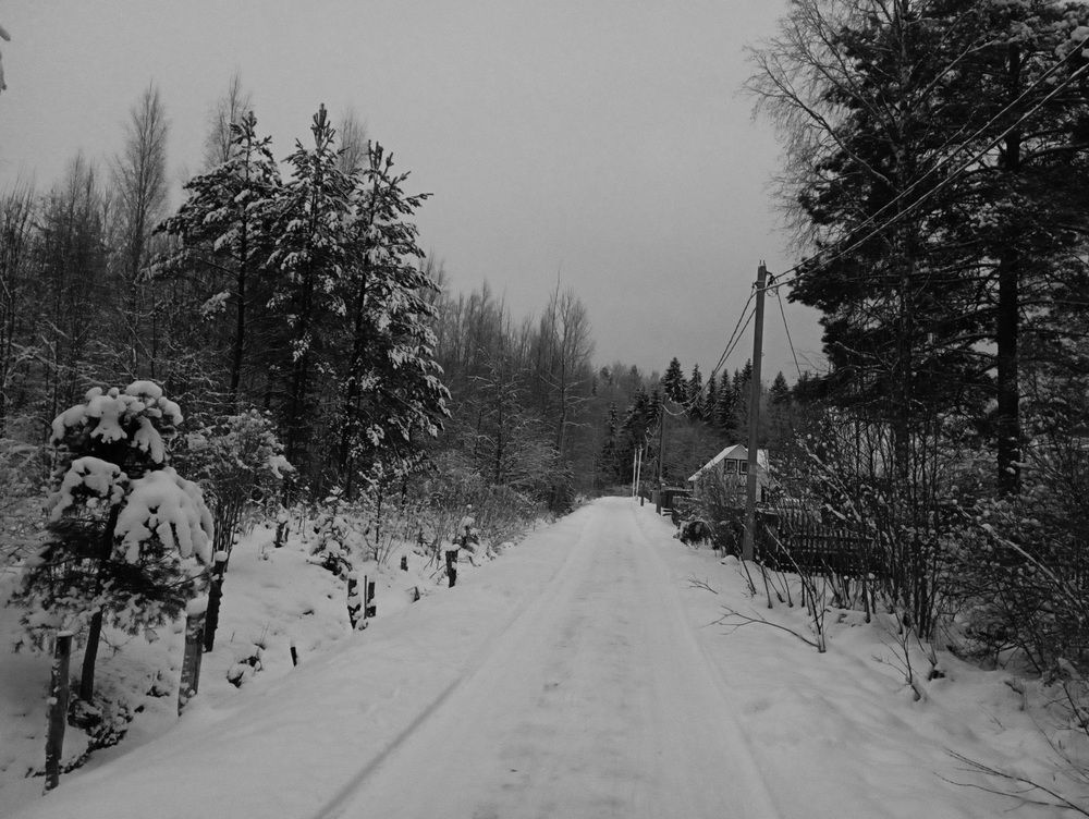 Photograph by Светлана Попкова