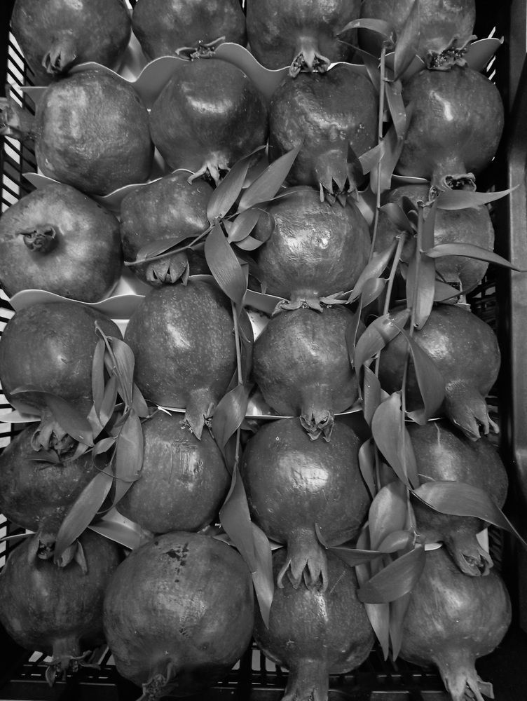 Photograph by Светлана Попкова