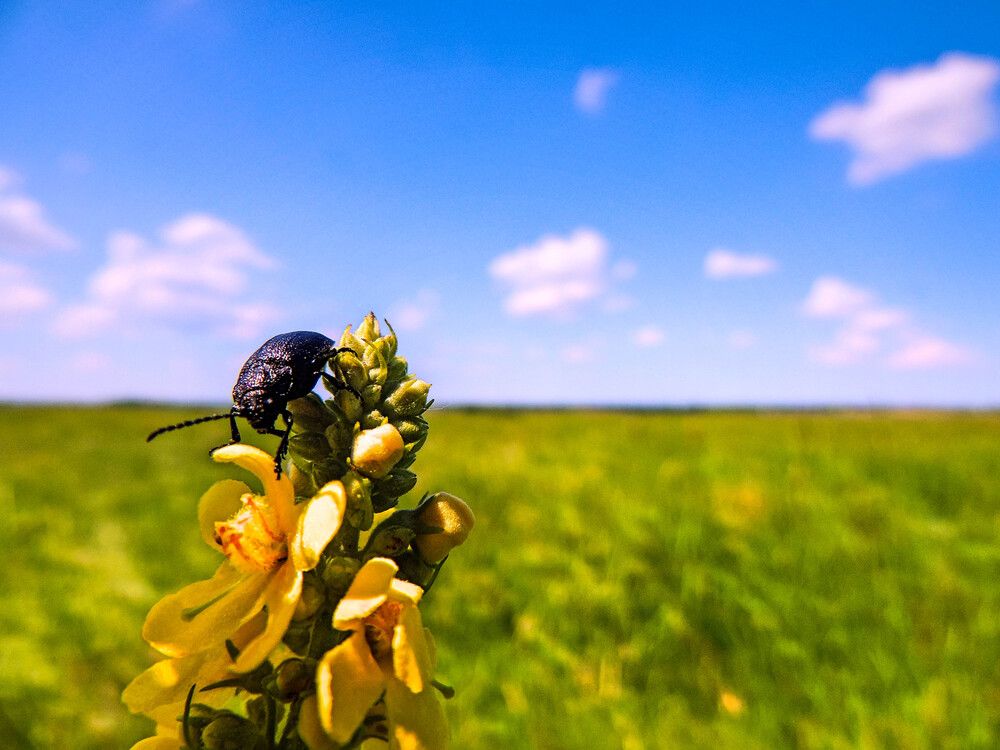 Photograph by Епишев Андрей