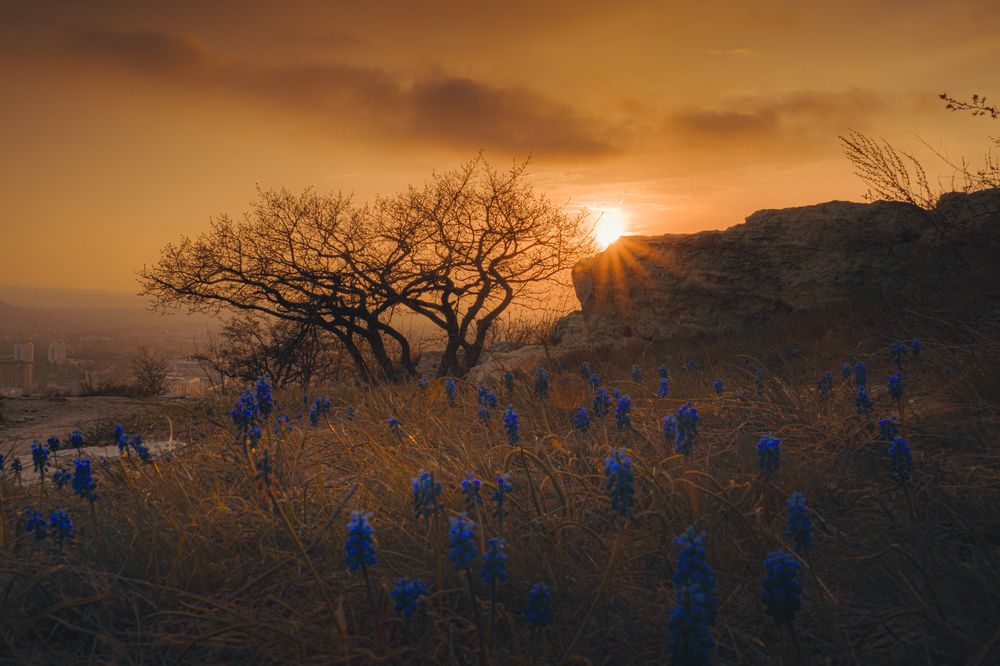 Фотография автора Pavel Arseev