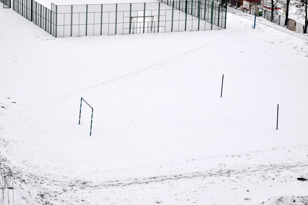 Photograph by Светлана