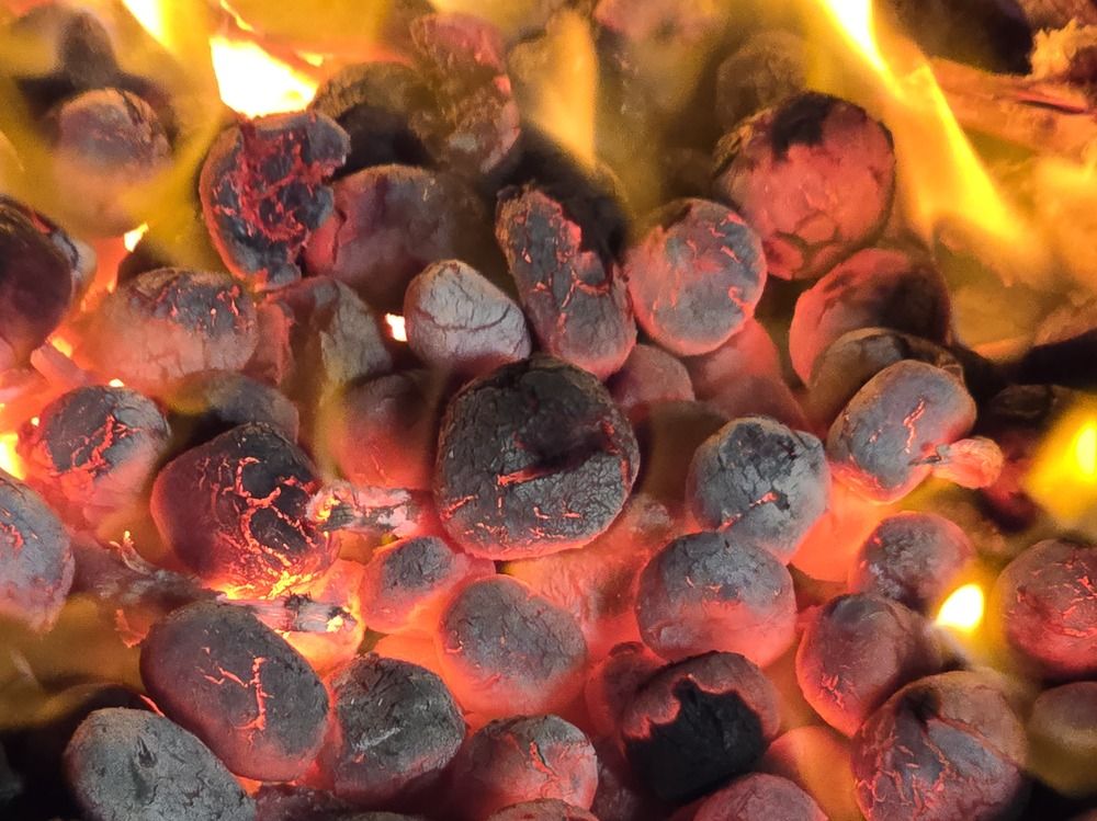 Photograph by Basan Baatarsuren