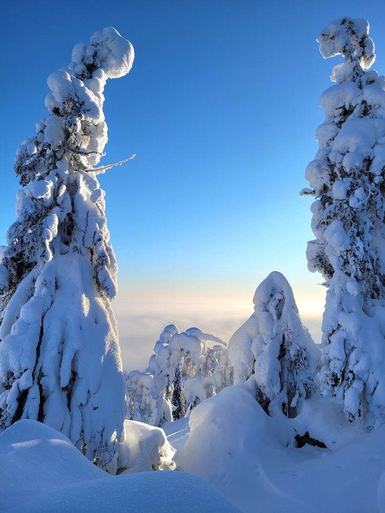 Photograph by Svetlana Hirvonen