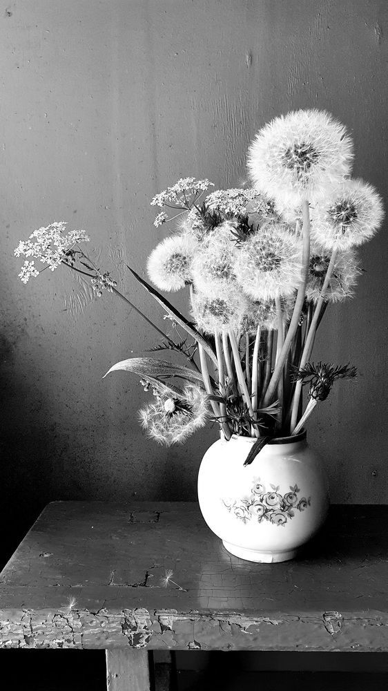 Photograph by Ирина Кудрина