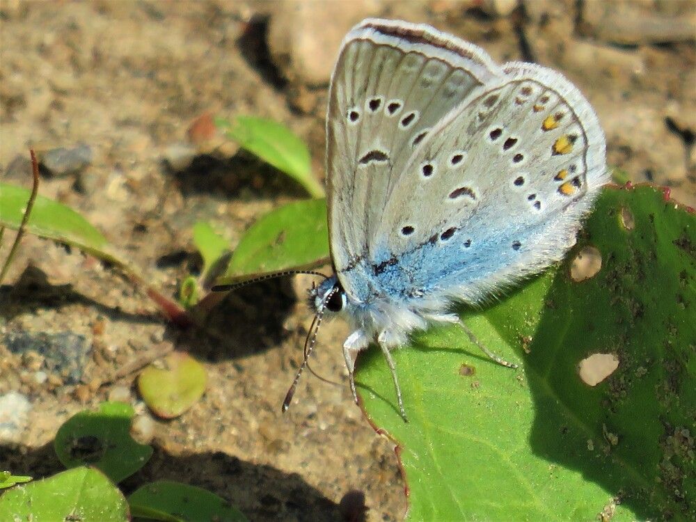 Photograph by Людмила Кононова