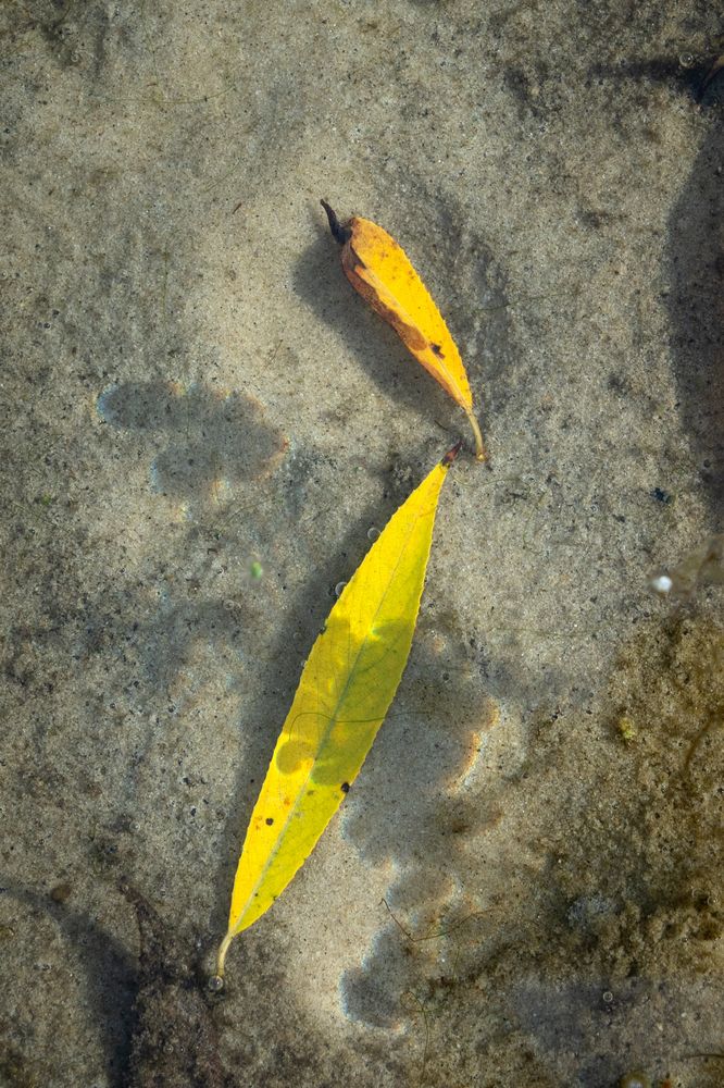 Photograph by Сергей Калинин