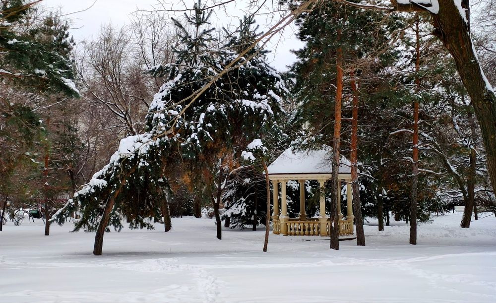 Photograph by Надежда Батракова