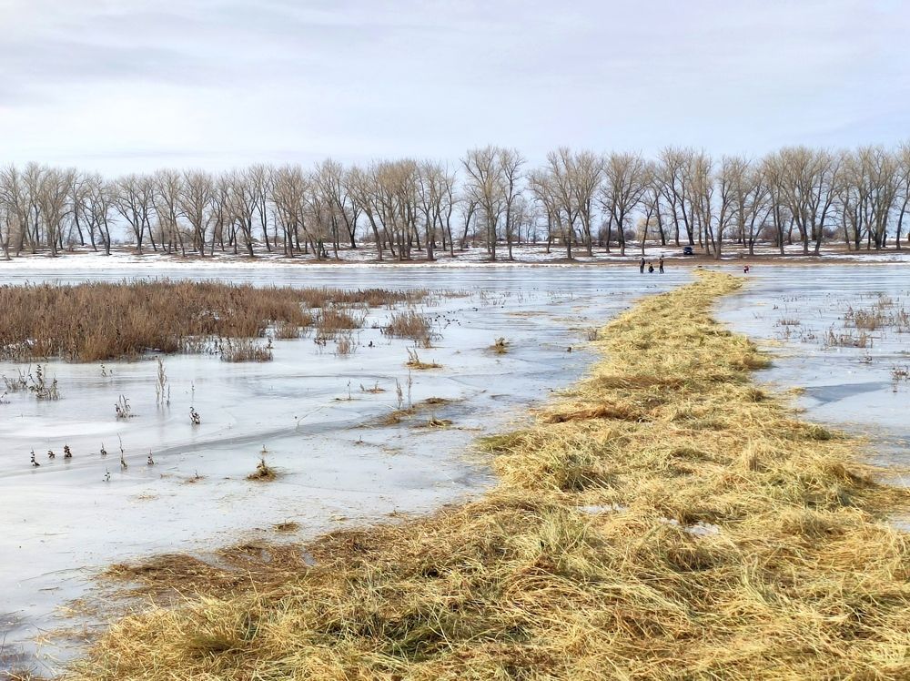 Photograph by Надежда Батракова
