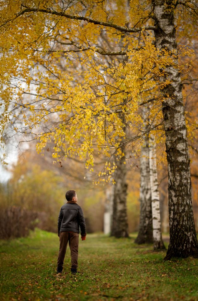 Фотография автора Диана Никифаровская