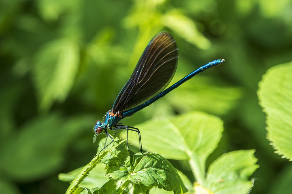 Photograph by Надежда Михайлина