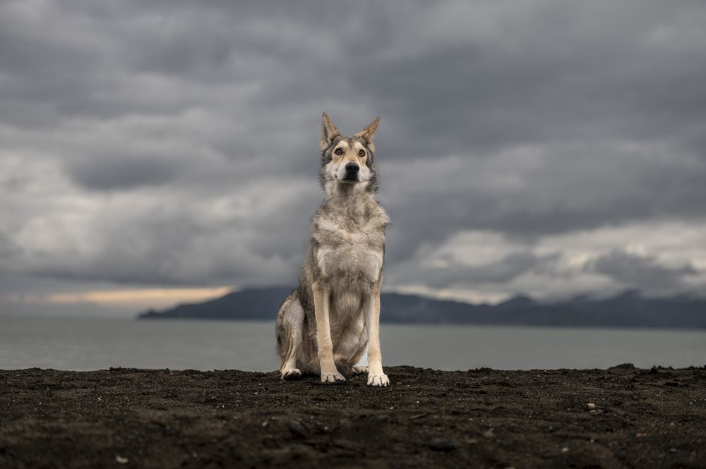 Photograph by Cristian Umili