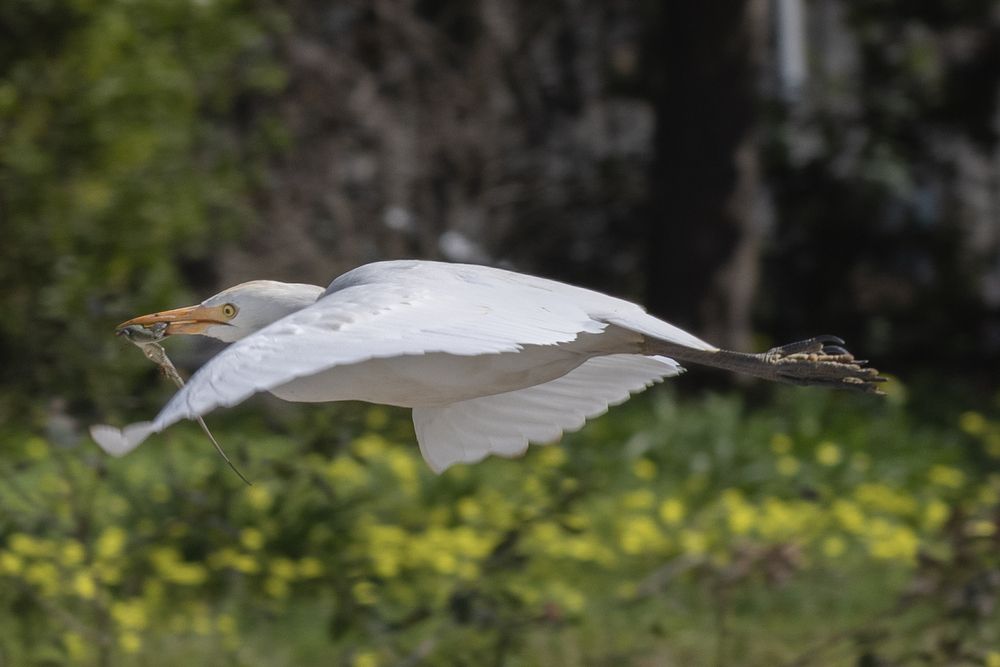 Photograph by Юлия Григоренко