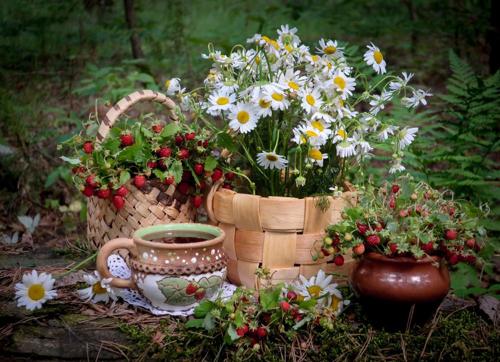 Photograph by Ильсияр Григорьева