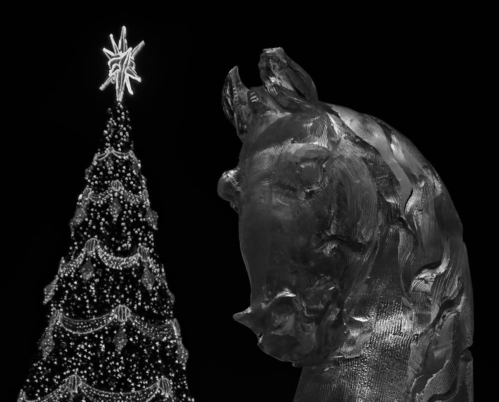 Photograph by Basan Baatarsuren