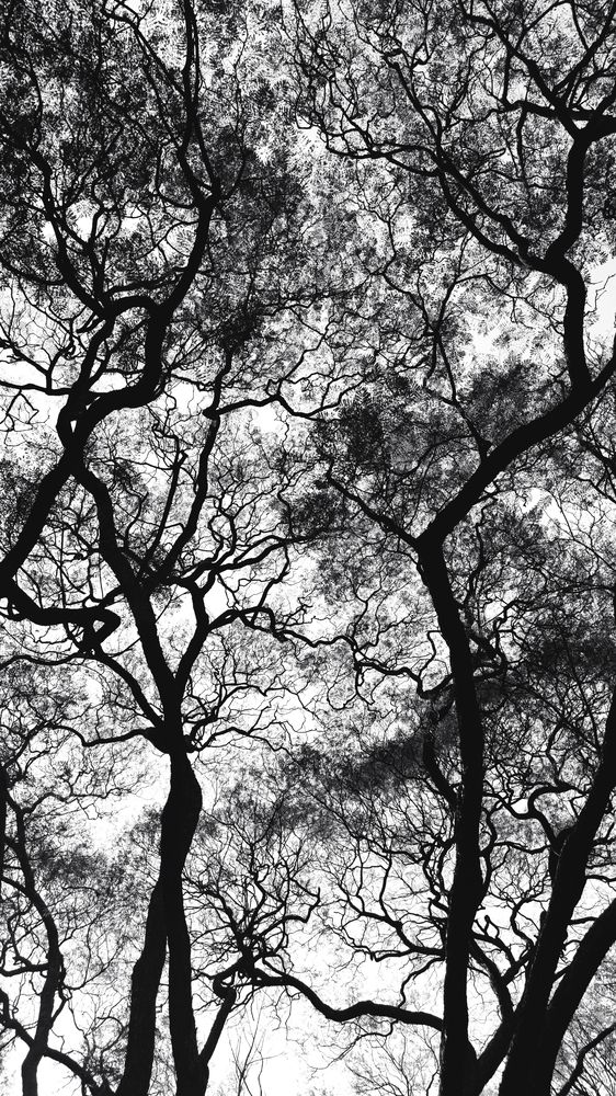 Photograph by Zamira Sozieva