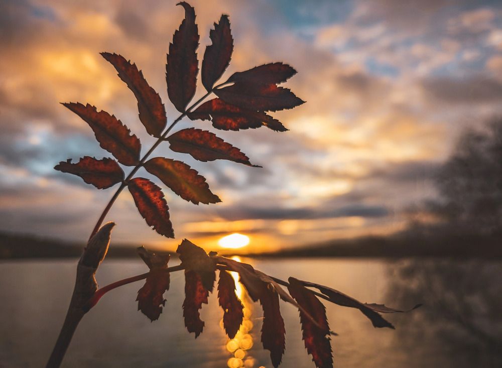Photograph by Кирилл Сидоров