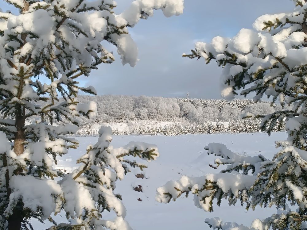 Photograph by Евгений Гонтов