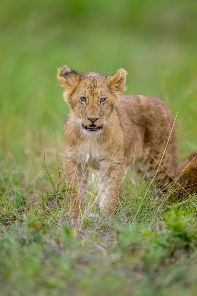 Photograph by Пупонин Сергей