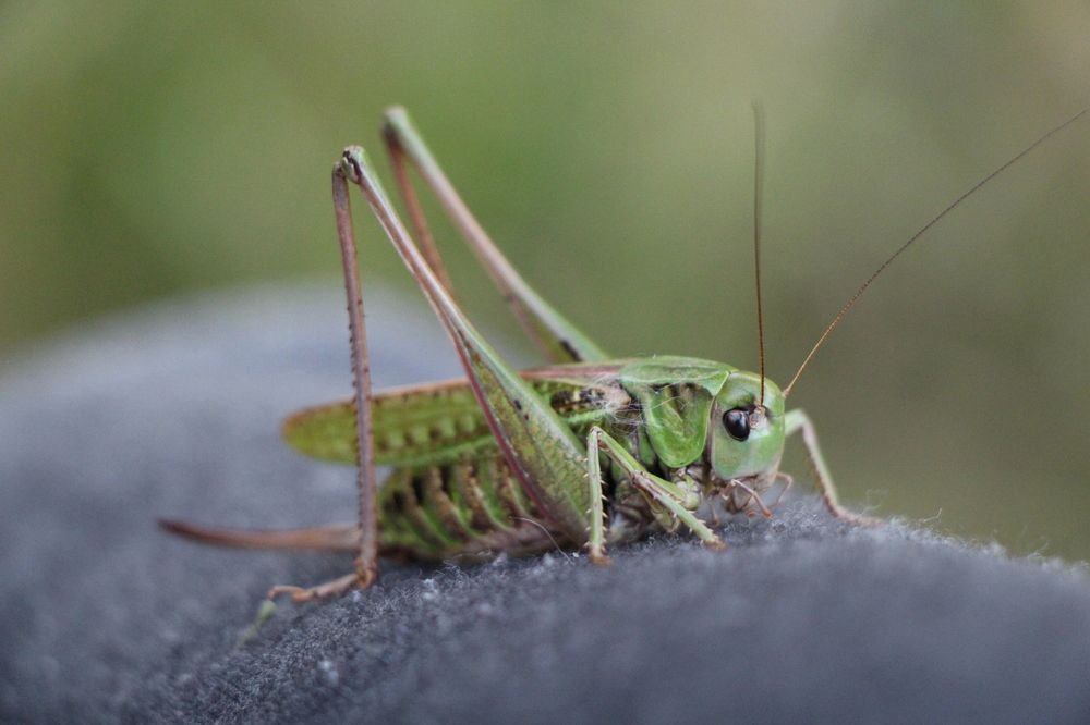 Photograph by Анастасия Бородина